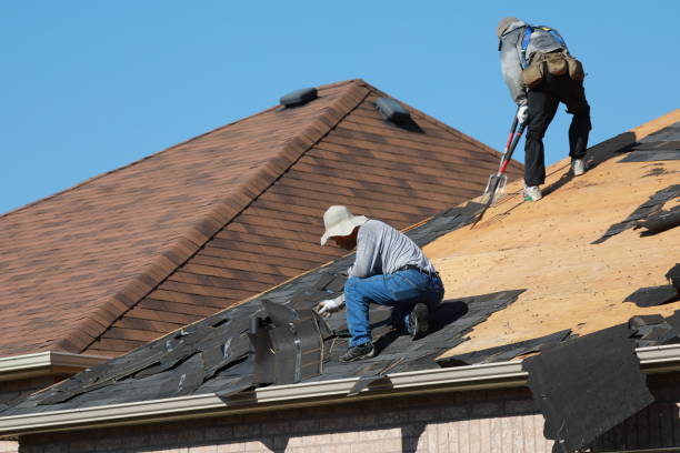 Best Gutter Installation and Repair  in Ashburn, GA