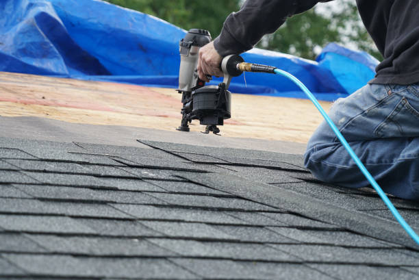 Best Roof Moss and Algae Removal  in Ashburn, GA